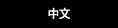 中文