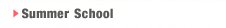 Summer School