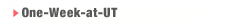 One-Week-at-UT Program